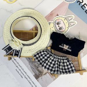 Labubu Country Elegance – Vichy Jurk en Strohoed