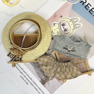 Labubu Countryside Elegance – Rustieke Charme en Zachte Elegant